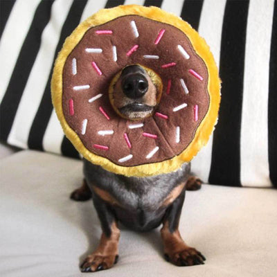 Donutz Chocolate Plush Dog Toy | Pawlicious & Company