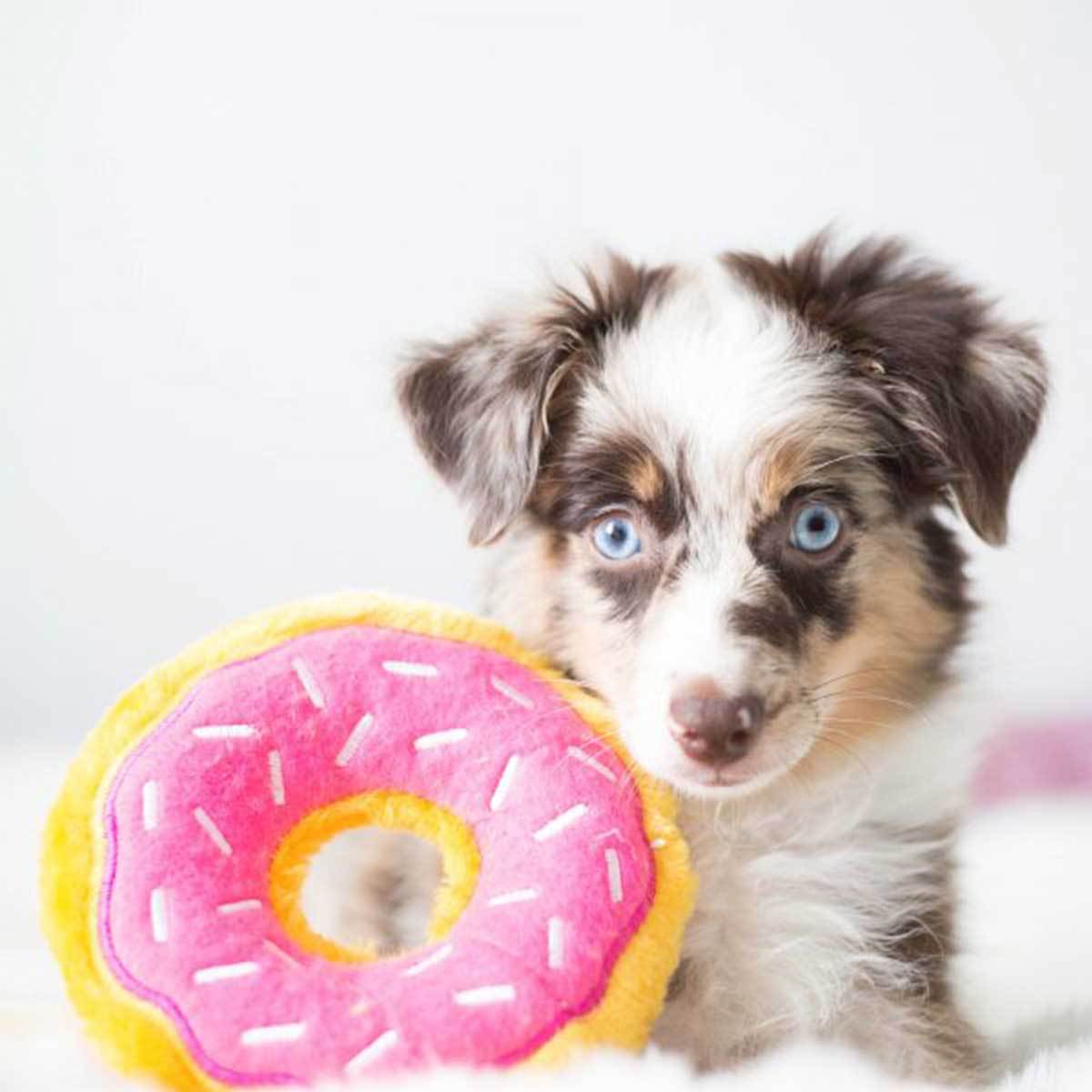 Donutz Stawberry Plush Dog Toy | Pawlicious & Company
