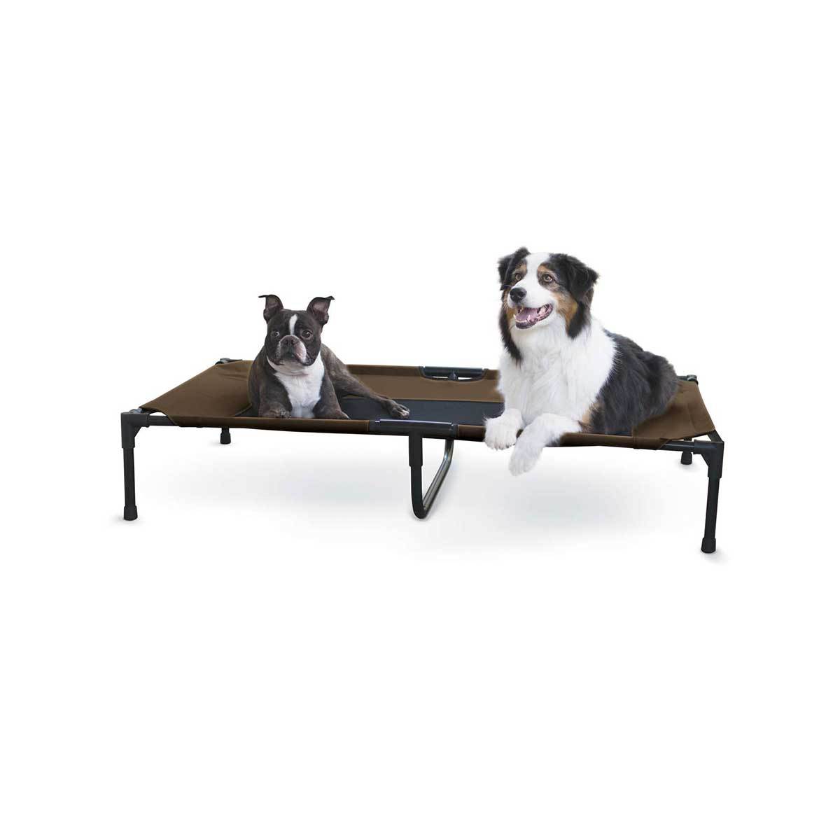 Chocolate Brown Dog Cot with Waterproof Fabric - Double Wide | Pawlicious & Company