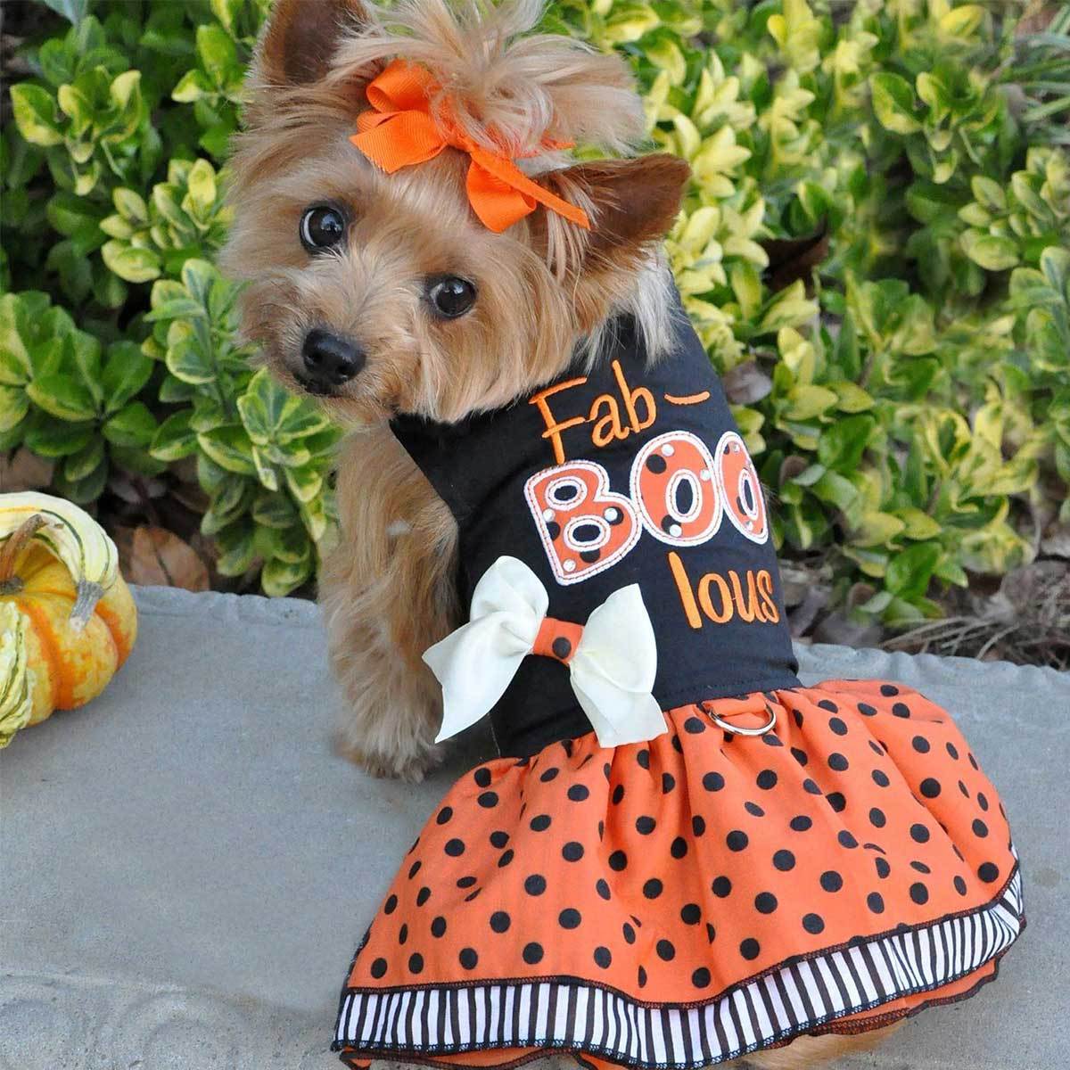 Fab-Boo-Lous Halloween Dog Dress | Pawlicious & Company
