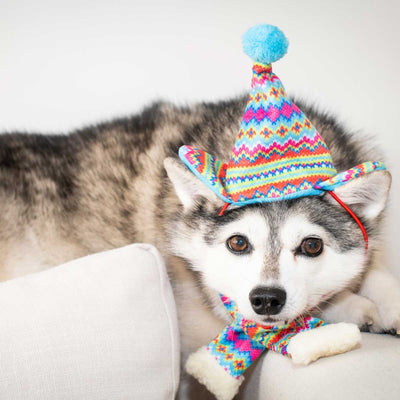 Fairisle Pet Scarf | Pawlicious & Company