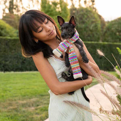 Fairisle Pet Scarf | Pawlicious & Company