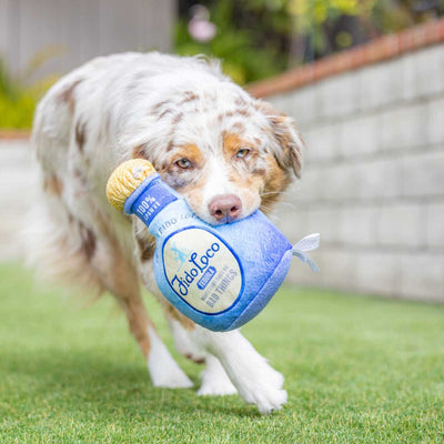 Fido Loco Tequila Dog Toy | Pawlicious & Company