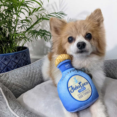 Fido Loco Tequila Dog Toy | Pawlicious & Company