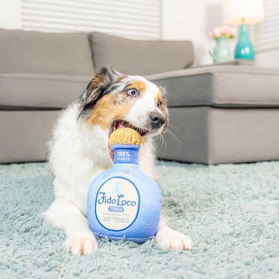 Fido Loco Tequila Dog Toy | Pawlicious & Company