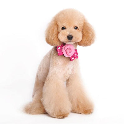 Flower Dog Collar Bow with Rhinestones | Pawlicious & Company