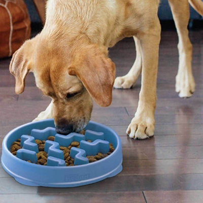 Fun Feeder Slo-Bowl Notch | Pawlicious & Company