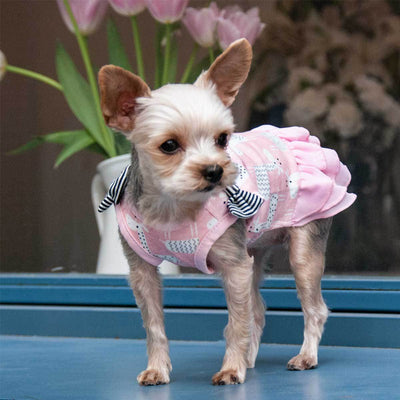 Giraffe Print Dog Dress | Pawlicious & Company