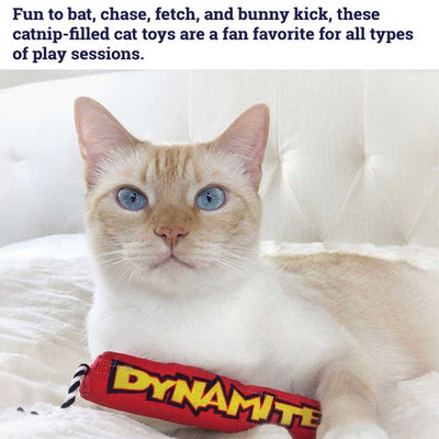 Green Magic Dynamite Stick Catnip Toy