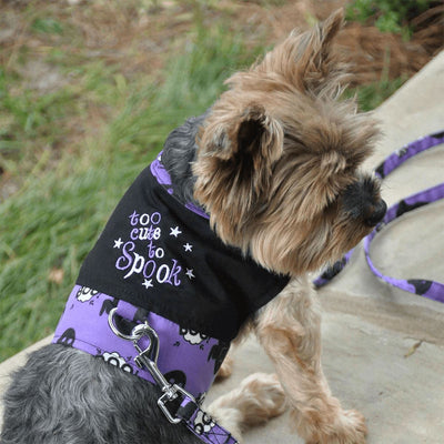 Halloween Dog Harness - Too Cute To Spook | Pawlicious & Company