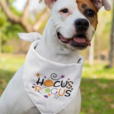 Hocus Pocus Pet Bandana | Pawlicious & Company