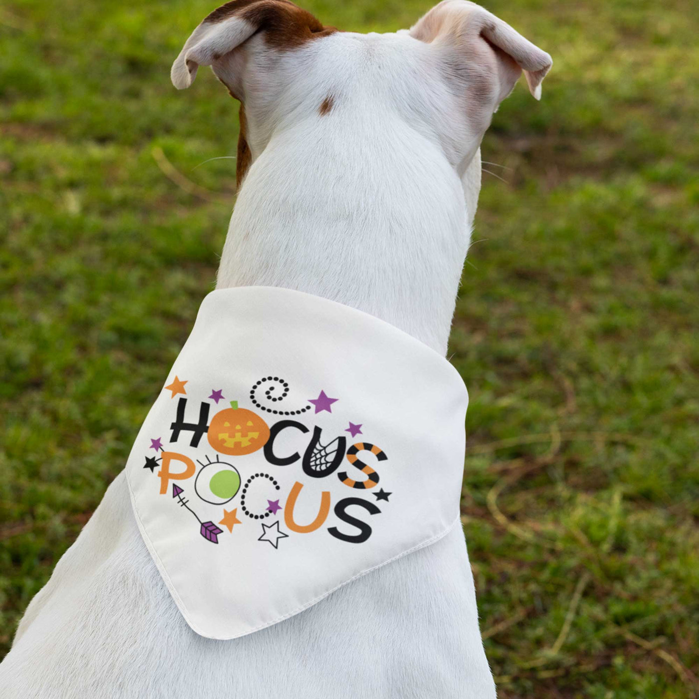 Hocus Pocus Tie-On Pet Bandana