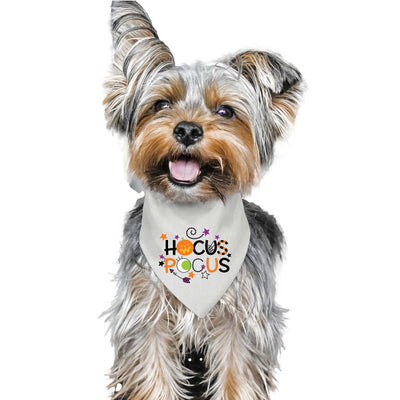 Hocus Pocus Pet Bandana | Pawlicious & Company