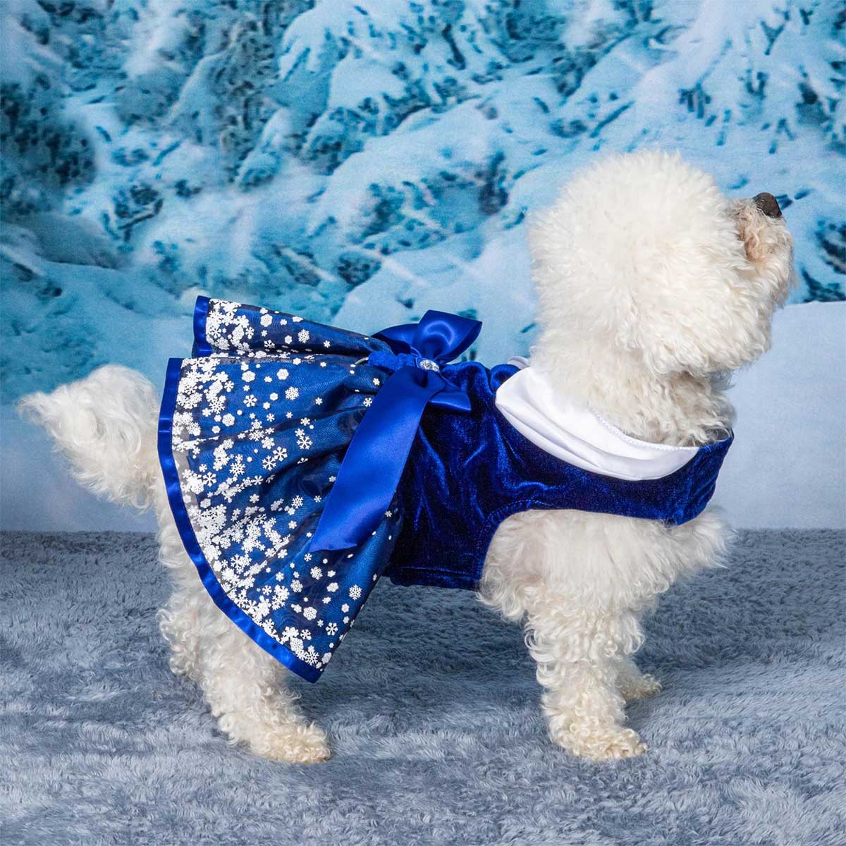 Snowflakes Holiday Dog Harness Dress | Pawlicious & Company