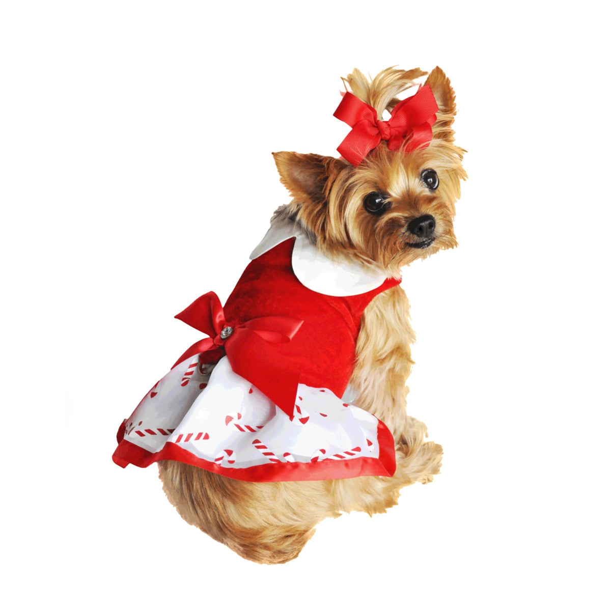Holiday Candy Cane Harness Dress | Pawlicious & Company