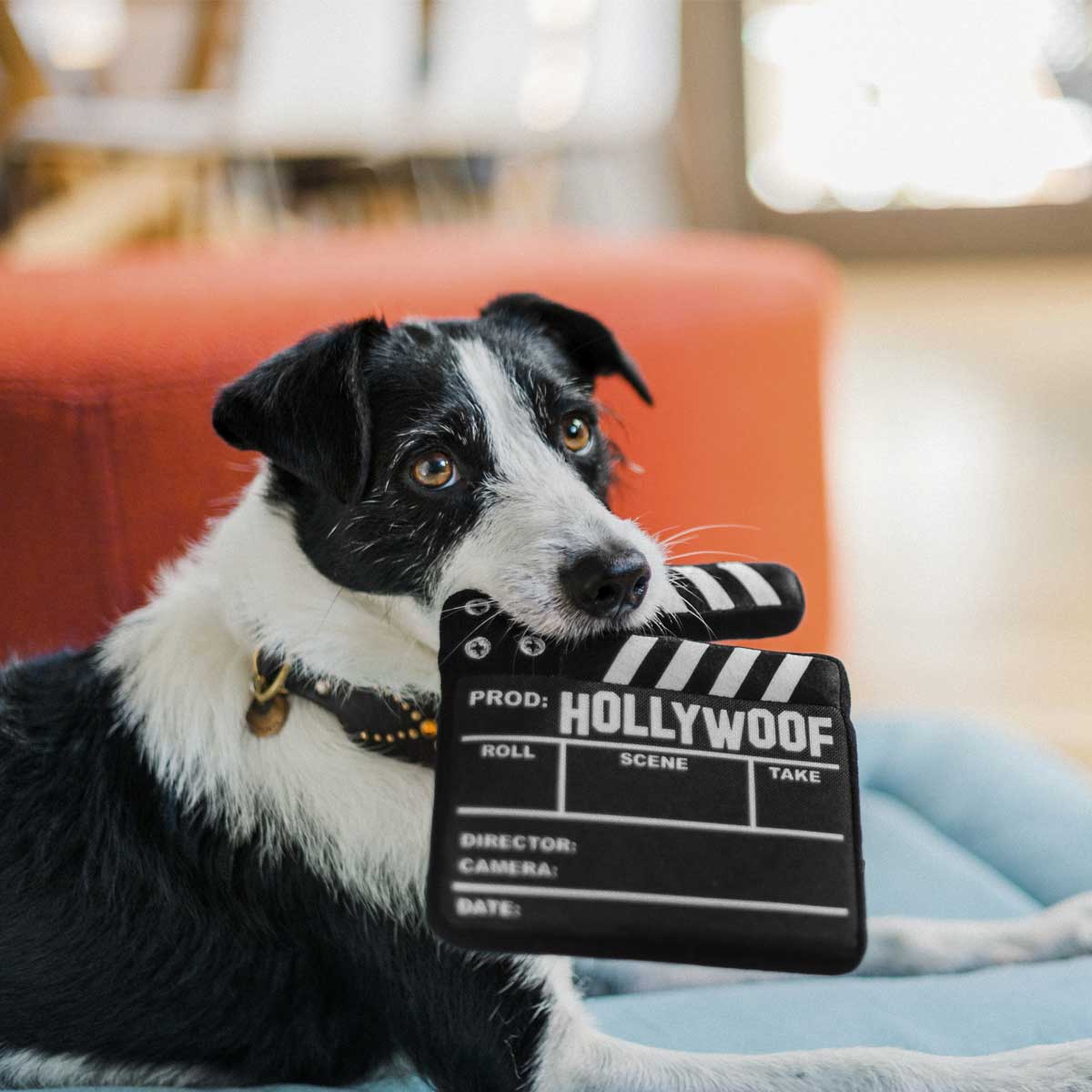 Doggy Director Board Plush Dog Toy | Pawlicious & Company