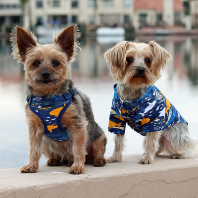 Island Shark Dog Shirt | Pawlicious & Company