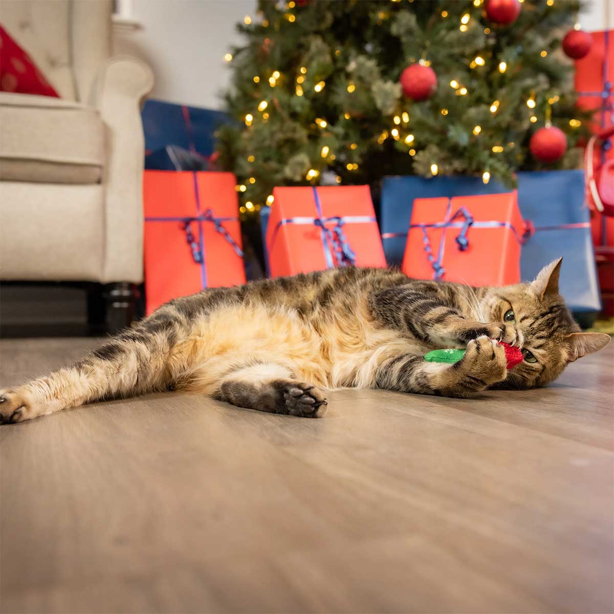 Kittybelles Good Bad Catnip Toy