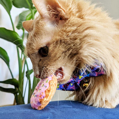 Strawberry Donut Plush Catnip Toy | Pawlicious & Company