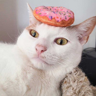 Strawberry Donut Plush Catnip Toy | Pawlicious & Company