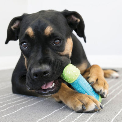 Kong® Core Strengh Bone | Pawlicious & Company