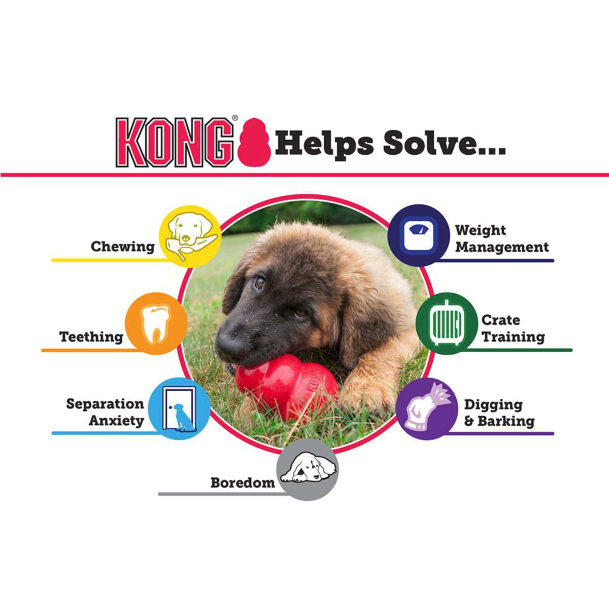 Kong® Original Treat Dispenser | Pawlicious & Company
