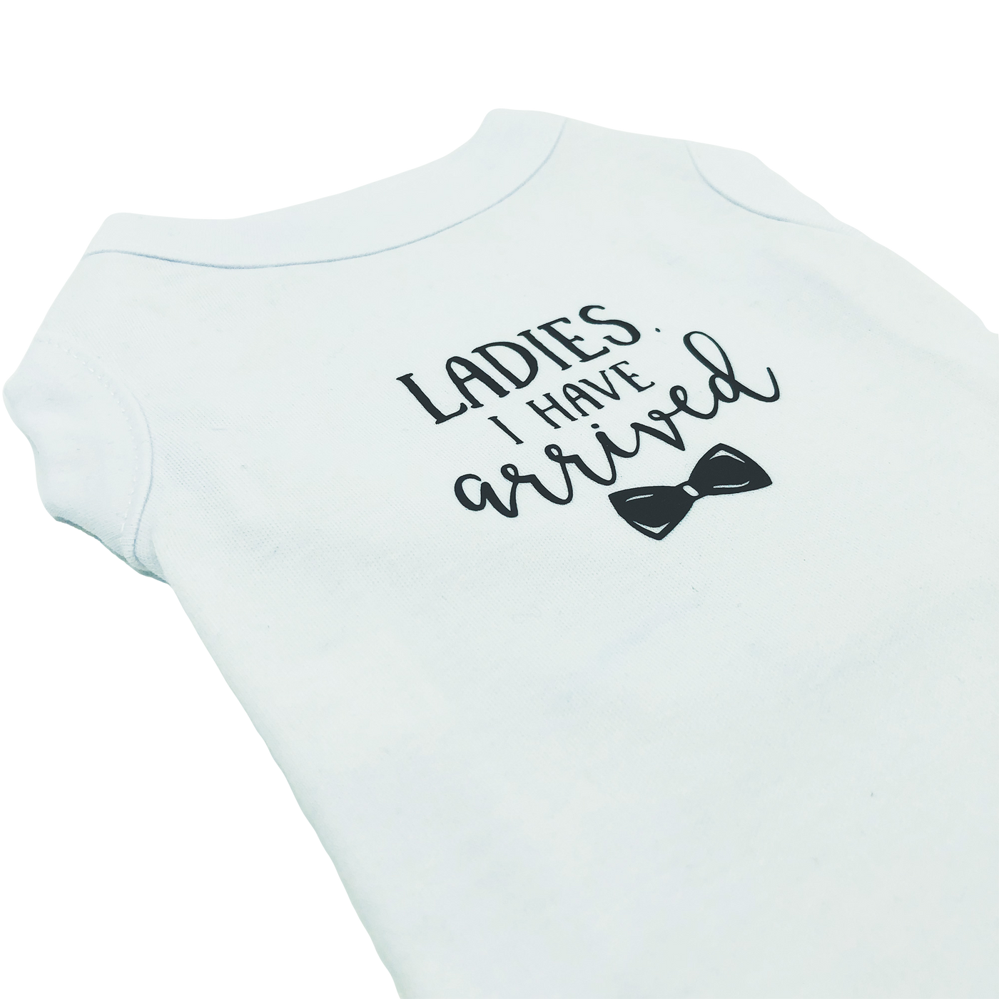 Ladies I Have Arrived Dog Shirt | Pawlicious & Company