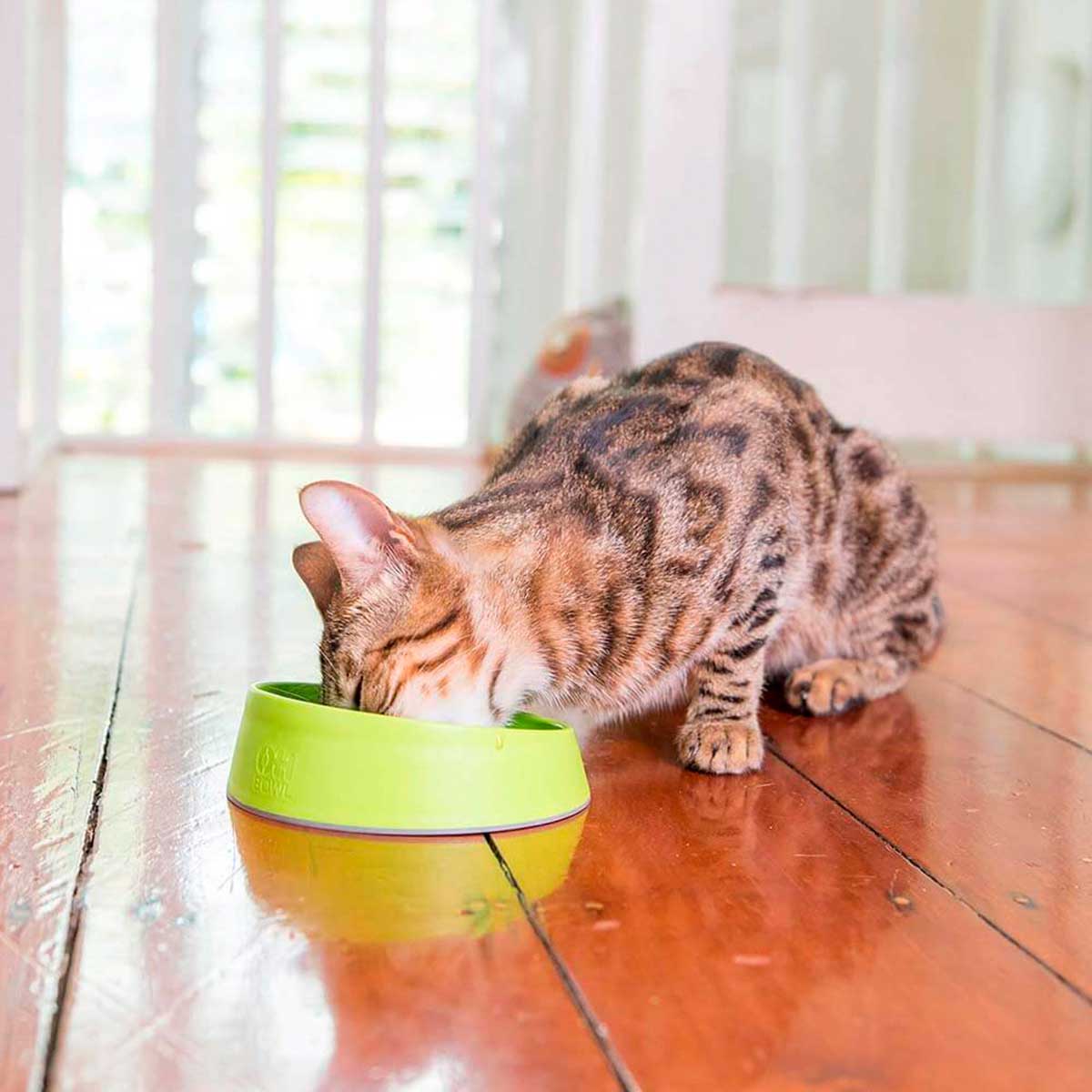 LickiMat® Oral Health Bowl for Cats