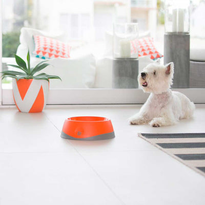 LickiMat®OH Bowl for Dogs