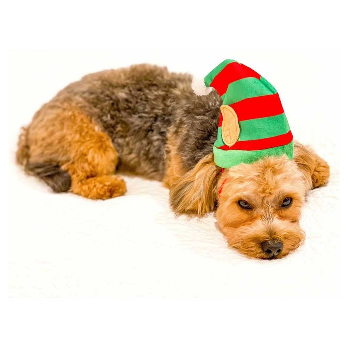 Lil Helper Holiday Hat | Pawlicious & Company