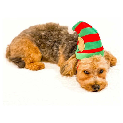 Lil Helper Holiday Hat | Pawlicious & Company