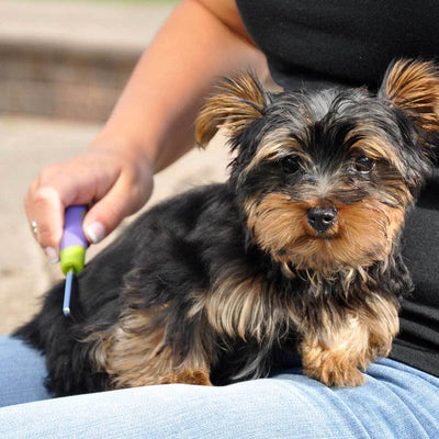 Li'l Pals Shedding Comb | Pawlicious & Company