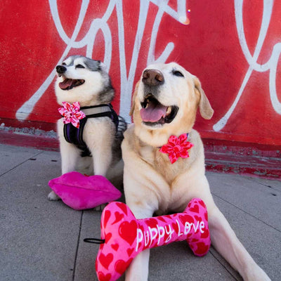 Love Pawtion K9 Collar Flower