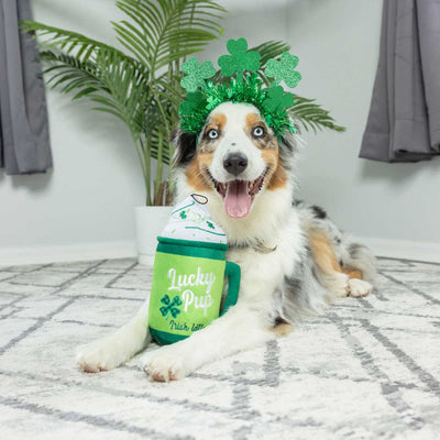 Lucky Pup Irish Latte Plush Dog Toy
