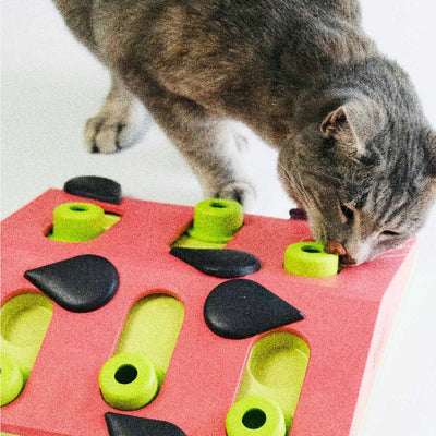 Melon Madness Puzzle & Play Cat Game | Pawlicious & Company