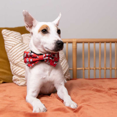 Merry Liamas Bow Tie | Pawlicious & Company