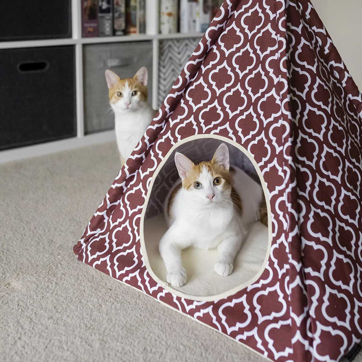 Moroccan Marsala Red Pet Teepee | Pawlicious & Company