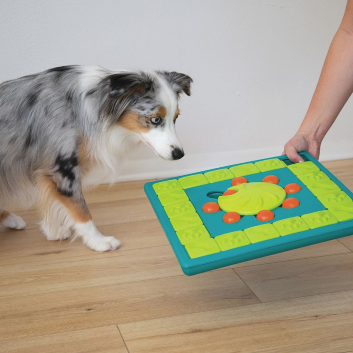 Multi Puzzle Dog Game - Highly Skilled | Pawlicious & Company