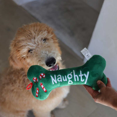 Naughty & Nice Bone Dog Toy | Pawlicious & Company