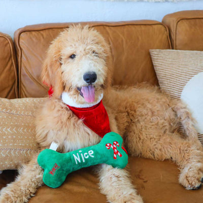 Naughty & Nice Bone Dog Toy | Pawlicious & Company