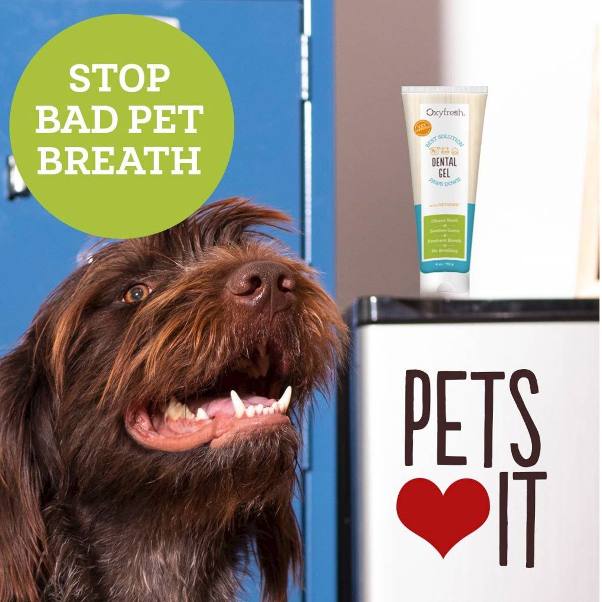 Oxyfresh dental gel for dogs shop