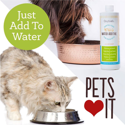 Oxyfresh Pet Water Additive | Pawlicious & Company