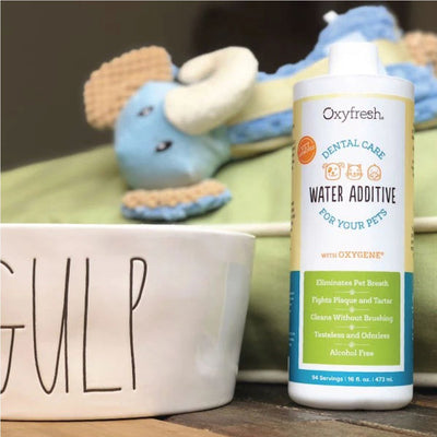 Oxyfresh Pet Water Additive | Pawlicious & Company