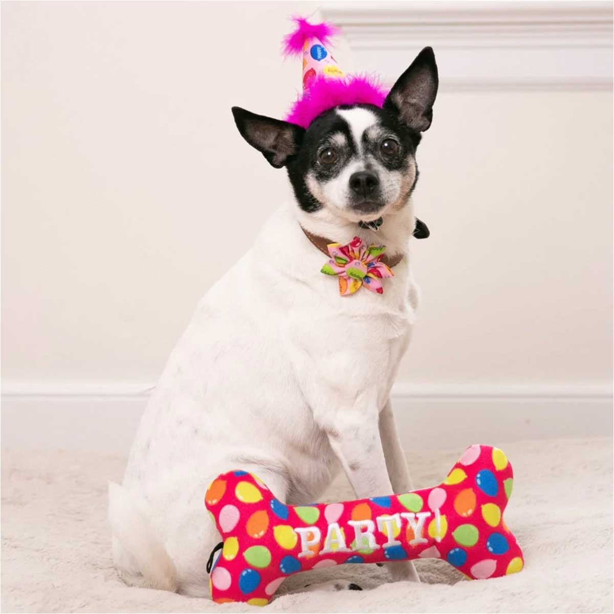 Pink Party Time Collar Flower | Pawlicious & Company