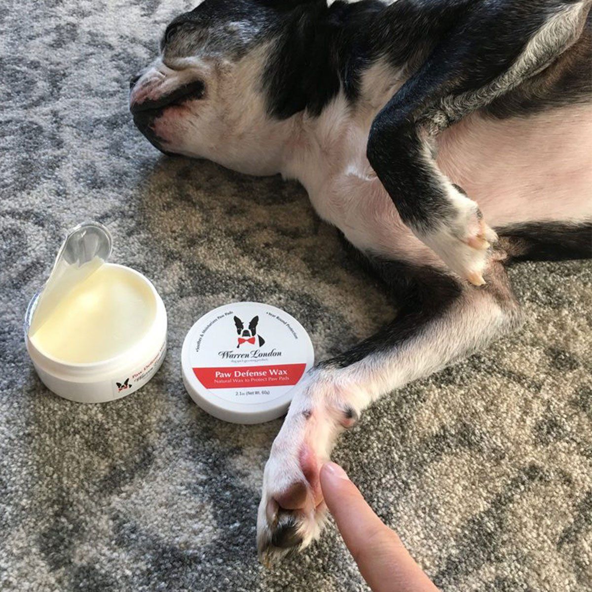 Warren London Paw Defense Wax | Pawlicious & Company