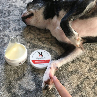 Warren London Paw Defense Wax | Pawlicious & Company