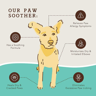 Natural Dog Company Paw Soother