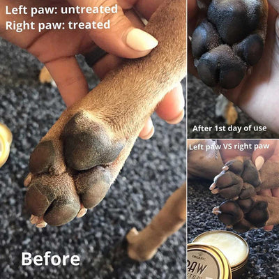 Natural Dog Company PawTection | Pawlicious & Company