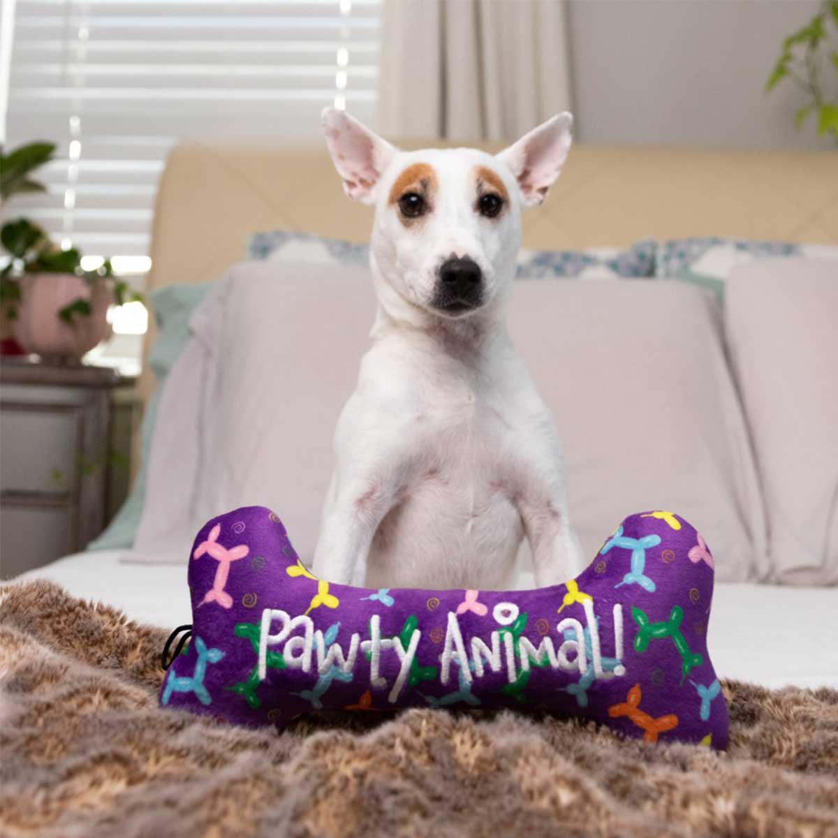 Pawty Animal Bone | Pawlicious & Company