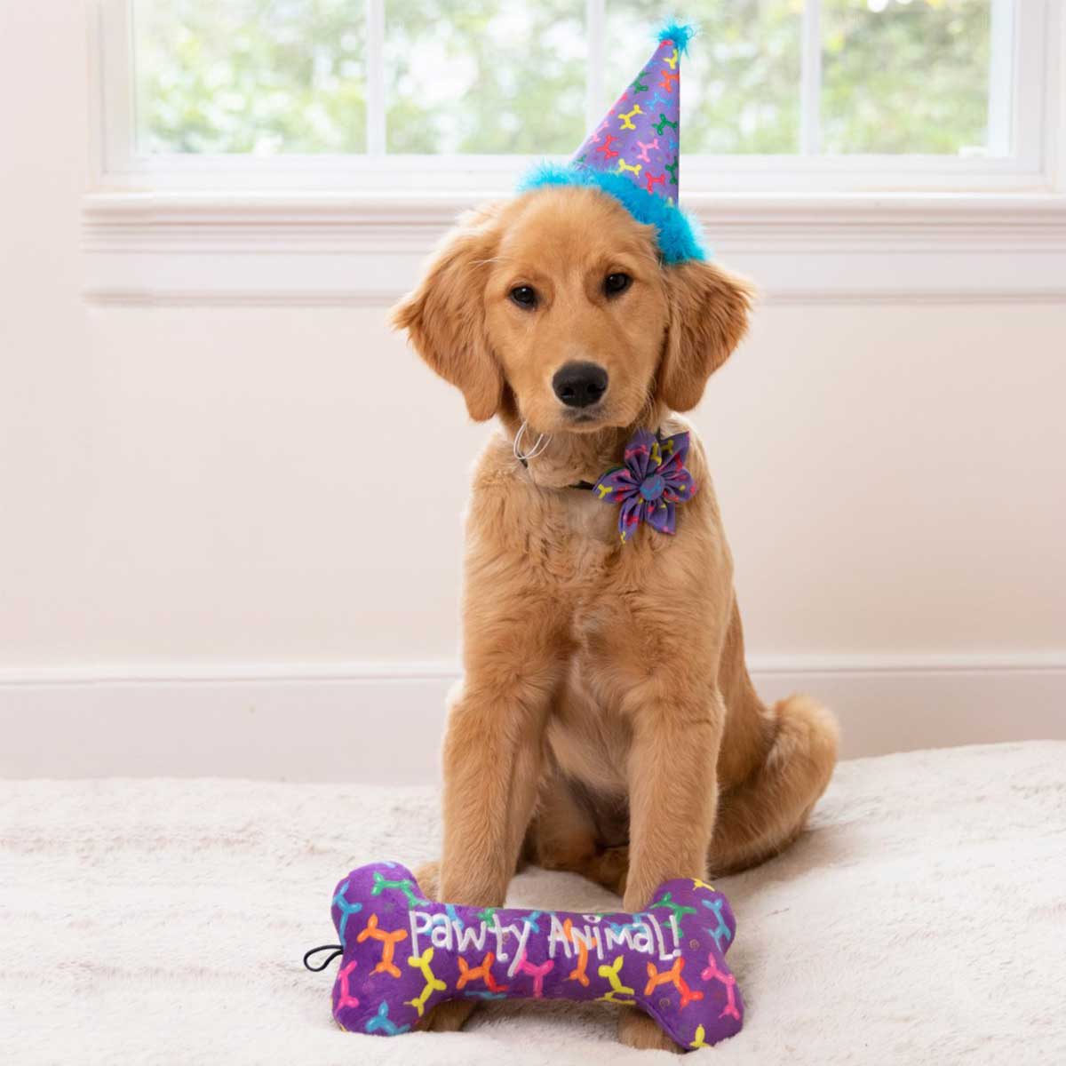 Pawty Animal Bone | Pawlicious & Company
